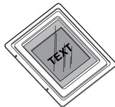 TEXT