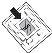 TEXT