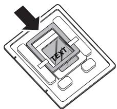TEXT