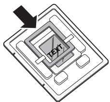 TEXT