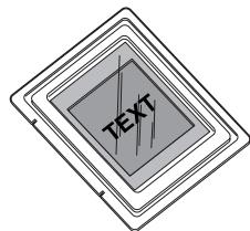 TEXT