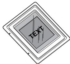 TEXT