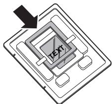 TEXT