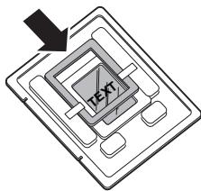 TEXT