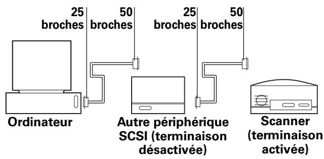 Ordinateur 25 broches 50 broches Autre périphérique SCSI (terminaison désactivée) 25 broches 50 broches Scanner (terminaison activée)