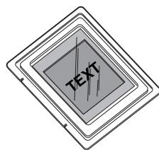 TEXT