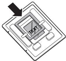 TEXT