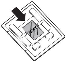 TEXT