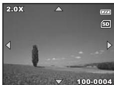POLAROID A530 - Lire des images fixes - 2