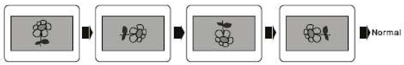 POLAROID DPA-10040K - Rotation d'images - 2