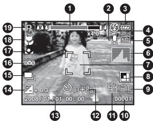 POLAROID T1032 - Mode capture - 1