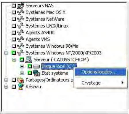 IOMEGA BRIGHTSTOR ARCSERVE BACKUP - Options locales de sauvegarde - 1