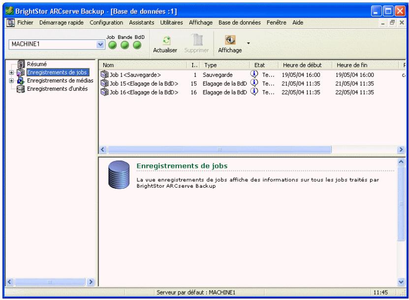 IOMEGA BRIGHTSTOR ARCSERVE BACKUP - Écrans de la base de données - 1