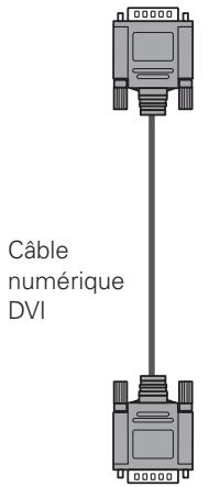 SANYO PLC-XP100L - Câbles utilisés pour la connexion (* = Câbles non fournis avec ce projeteur) - 5