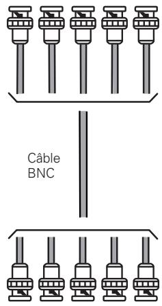 SANYO PLC-XP100L - Câbles utilisés pour la connexion (* = Câbles non fournis avec ce projeteur) - 4