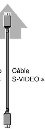 SANYO PLV-75 - Câbles utilisés pour la connexion (\* = Câbles non fournis avec ce projecteur) - 10