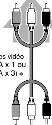 SANYO PLV-75 - Câbles utilisés pour la connexion (\* = Câbles non fournis avec ce projecteur) - 6