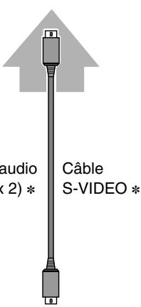 SANYO PLV-80L - Câbles utilisés pour la connexion (\* = Câbles non fournis avec ce projecteur) - 11