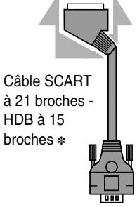 SANYO PLV-80L - Câbles utilisés pour la connexion (\* = Câbles non fournis avec ce projecteur) - 4