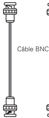 SANYO PLV-WF20 - Câbles utilisés pour la connexion - 6