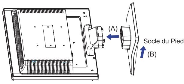 IIYAMA PROLITE P1905S - Attention - 1