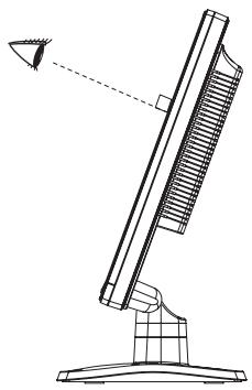 IIYAMA PROLITE P1905S - Ajustement de l'angle de VISION : ProLite P1705S / ProLite P1905S - 1