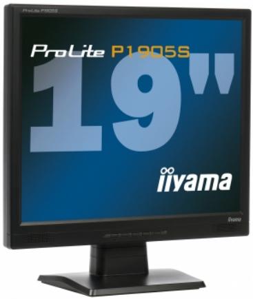 IIYAMA PROLITE P1905S-1 - 1