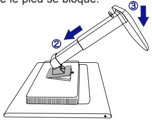 IIYAMA PROLITE E2403WS - Attention - 1