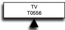 TV T0556