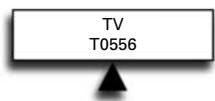 TV T0556
