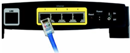 LINKSYS AG241 - Pakkens indhold - 1