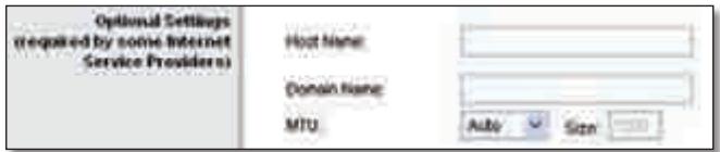 LINKSYS WRT320N - Optional Settings (Impostazioni opzionali) - 1