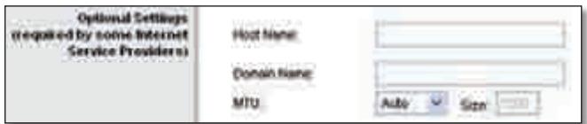 LINKSYS WRT320N - Optional Settings - 1