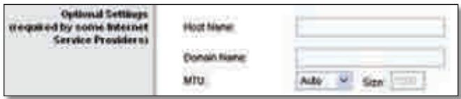 LINKSYS WRT320N - Optionale Einstellungen - 1