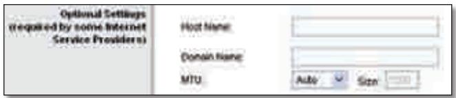 LINKSYS WRT320N - Optional Settings (Paramétres facultatifs) - 1