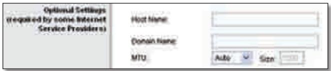 LINKSYS WRT320N - Optional Settings (Optionele instellingen) - 1