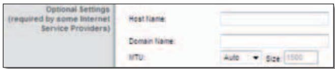 LINKSYS E1000 - Optional Settings - 1