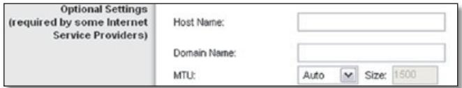 LINKSYS WRT160NL, WRT160N - Optional Settings - 1