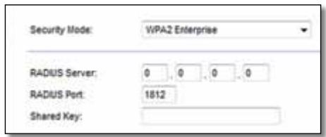 Security Mode: WPA2 Enterprise RADIUS Server: 0 , 0 , 0 , 0 RADIUS Port: 1812 Shared Key: