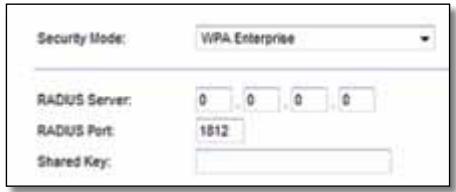 Security Mode: VIPA Enterprise RADIUS Server: 0 0 0 0 RADIUS Port: 1812 Shared Key: