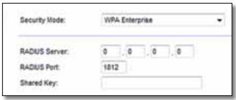Security Mode: WPA Enterprise RADIUS Server: 0.0.0.0 RADIUS Port: 1812 Shared Key: