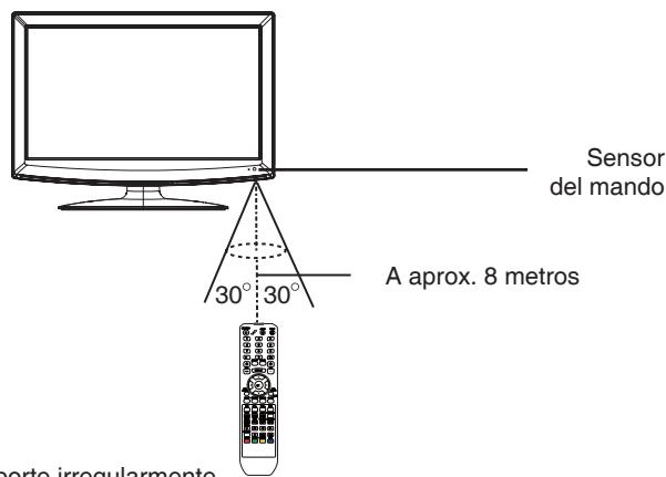 LENCO DVT-2432 - Campo de control - 1