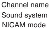 LENCO DVT-2632 - TV information - 4
