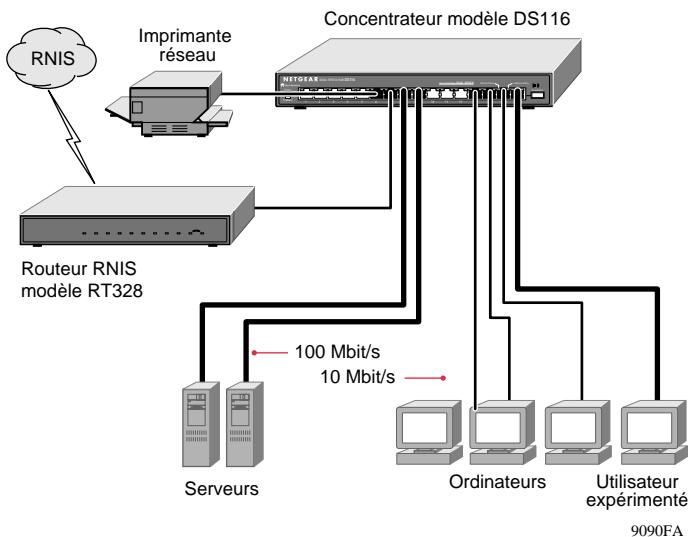 NETGEAR DS116 - Applications typiques - 1