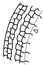 MAZDA 3 2009 - N'utiliser que des pneus en bon etat: - 1
