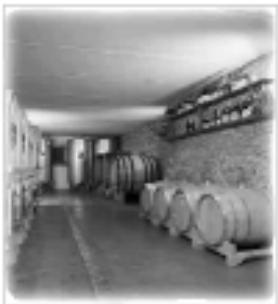 BAUKNECHT WLMG 1015 - La conservation du vin - 1