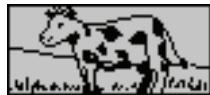 OREGON BG68 - Attrape-mot - 1