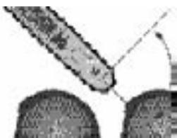 OREGON MICRO CHISEL - COMMENT ÉVITER CE PROBÉME ? - 1