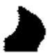 OREGON MICRO LITE - Oregon chisel - 2