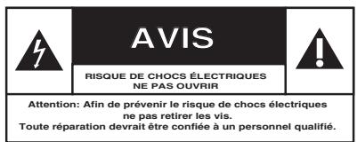 PHILIPS 50MF231DB - Sachez reconnaître ces symboles de sécurité - 1
